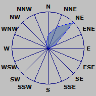 Wind Rose